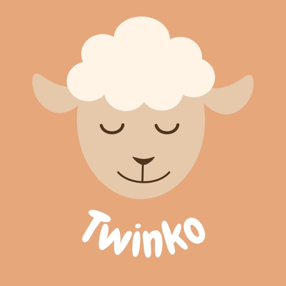 logotipo twinko