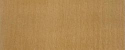 Madeira Carvalho Zloty/ Dab Zloty/ Golden Oak - 1019