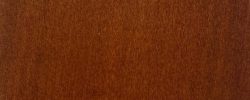 Madeira Nogueira Claro/ Orzech Jasny/ Walnut Light  - 1019